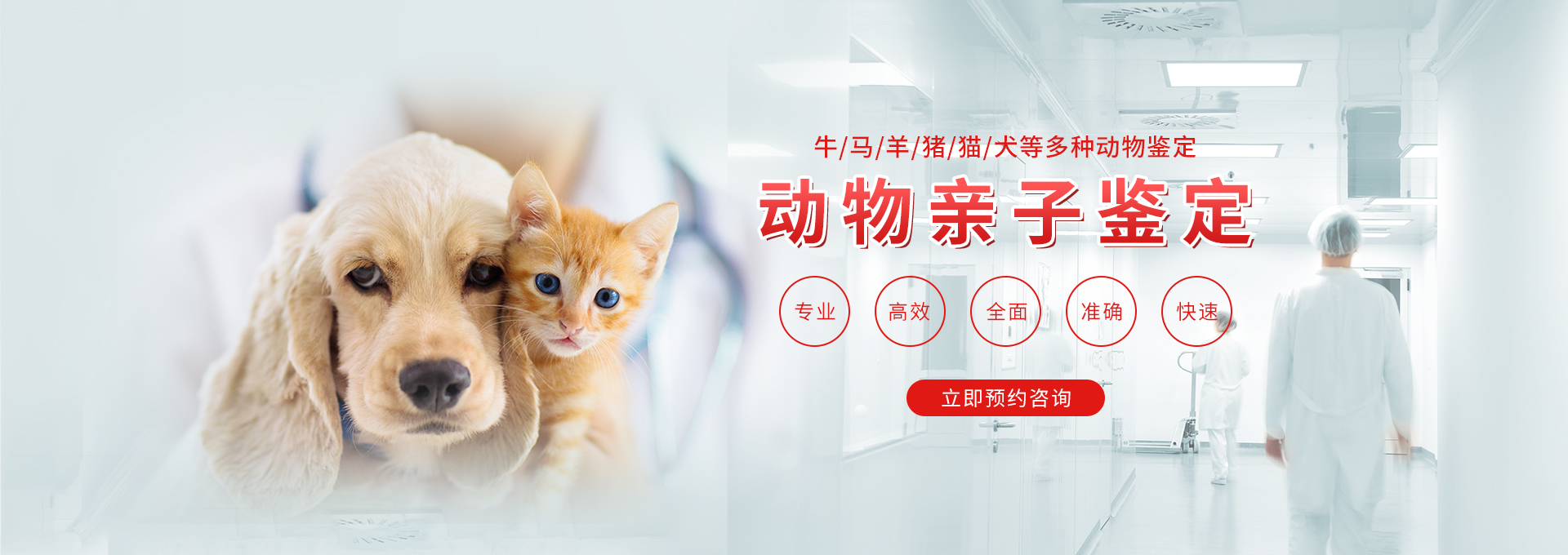 太原动物鉴定